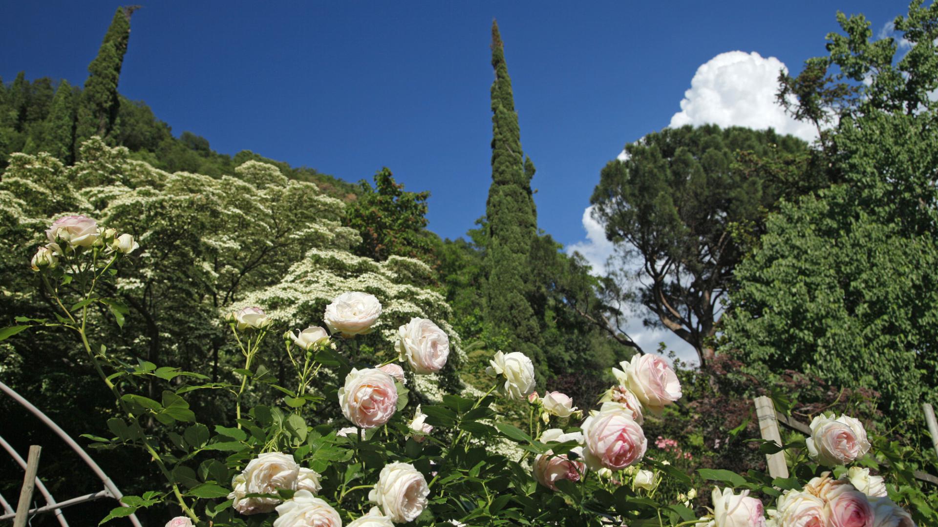 Garten zwischen Palmen und Zypressen